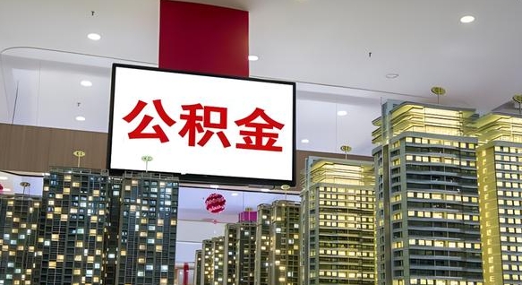 新野公积金还借呗方法（新野公积金借款怎么还）